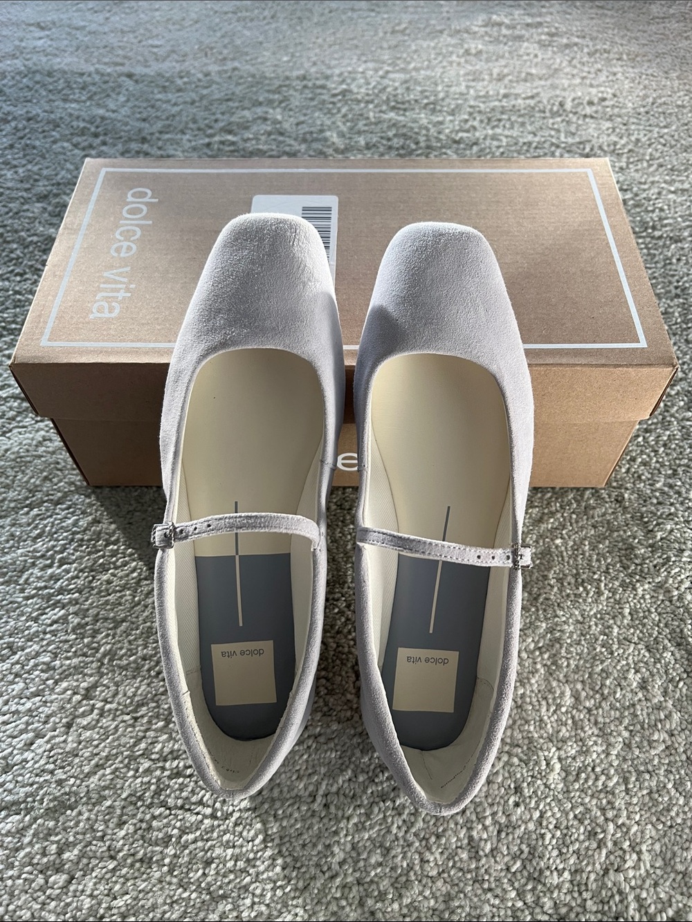 Dolce Vita Mary Jane flats in Dusty Blue